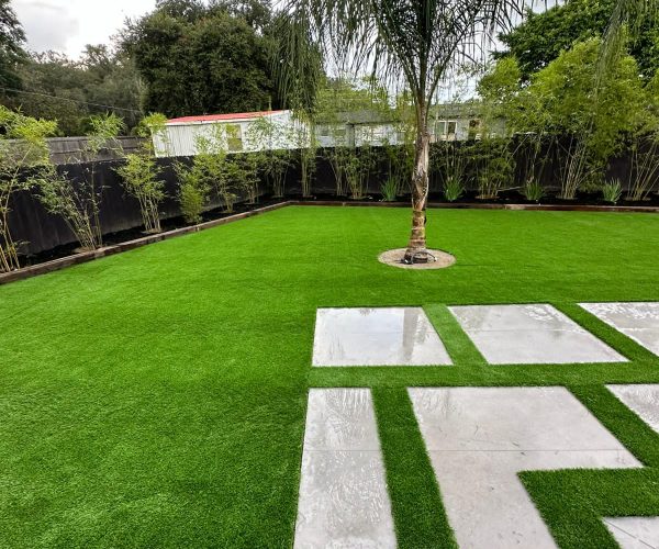 00c631a7-467e-4e4a-9469-3dcde7bbc60a